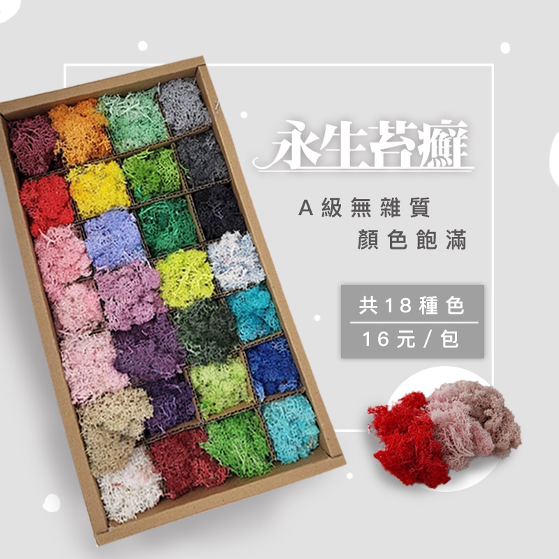 苔癬 - 優惠推薦 - 2026年8月 | 蝦皮購物台灣