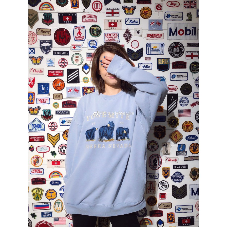 Brandy melville erica discount sierra nevada sweatshirt