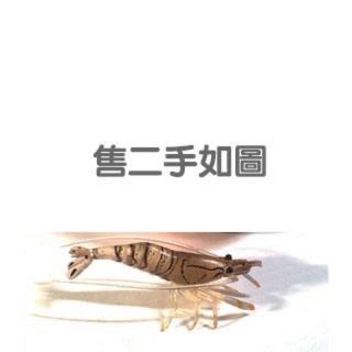 Yujin 原色甲殻類圖鑑1 原色甲殻類エビ・カニ図鑑Ⅰ 轉蛋扭蛋