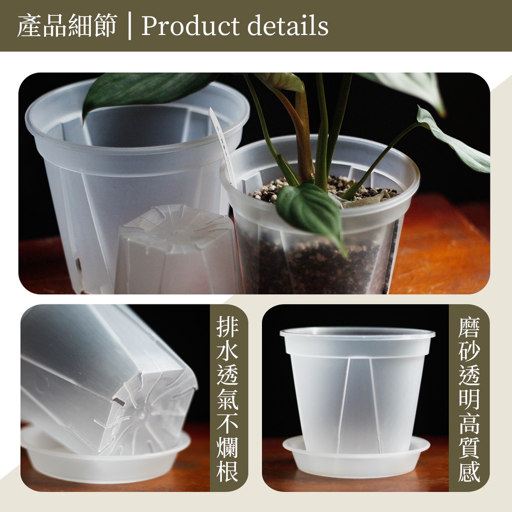 【0123.studio】現貨 透明控根青山盆 青山盆 5/6/7/8/9吋 花盆 花器 盆栽 托盤 觀葉植物 控根盆 | 蝦皮購物
