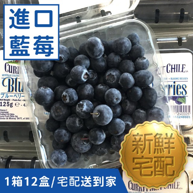 藍莓水果12盒1500G新鮮冷藏宅配高雄寄出箱裝空運宅配到府生鮮水果