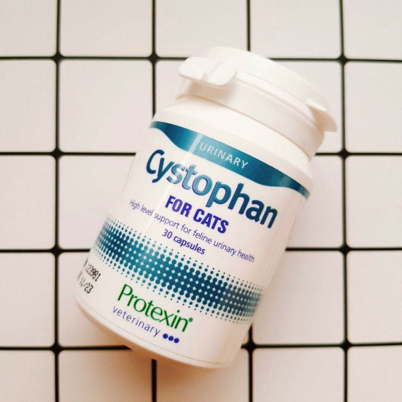 protexin Cystophan 安泌利30入 | 蝦皮購物