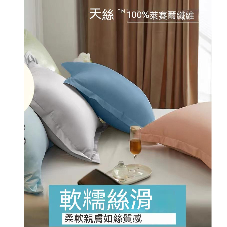 100支高級天絲冰涼感抱枕套100%萊賽爾纖維夏天65x65 60x60 床上大靠枕床頭靠背套抱枕套 | 蝦皮購物