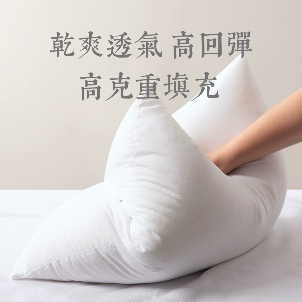 雲巢家紡☁️長纖維不結團 飽滿度升級100% 抱枕芯枕心 7D纖維棉磨毛布抱枕腰枕芯可水洗帶拉鍊 純白枕芯 | 蝦皮購物