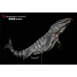 【滄龍】真品 Mosasaur 滄龍牙4 牙齒化石 白堊紀 爬蟲類 自然科學 恐龍 | 蝦皮購物