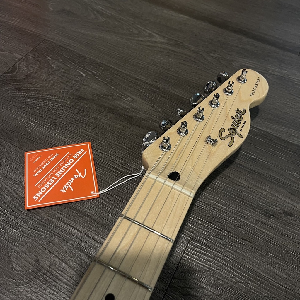 Squier Paranormal Cabronita Tele Thinline MN 2TS 公司貨【宛伶樂器