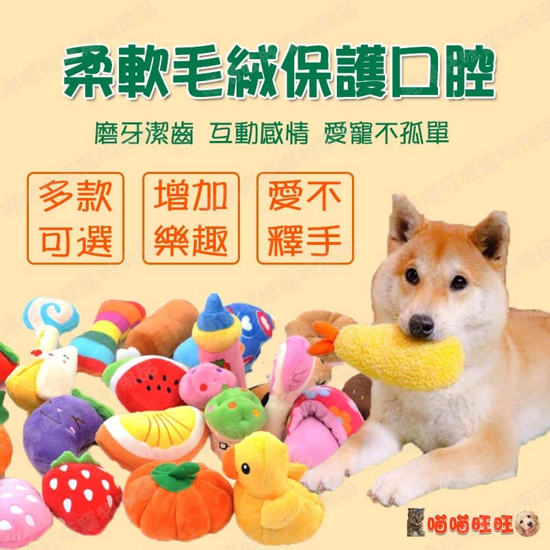 最受喜愛的6款狗玩具推薦！讓毛孩開心玩不停