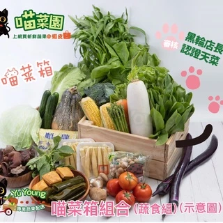 【喵菜園】 喵菜箱  一般生活蔬菜箱組合D(6人份)（一週份量組） 素食組合  冷藏寄件