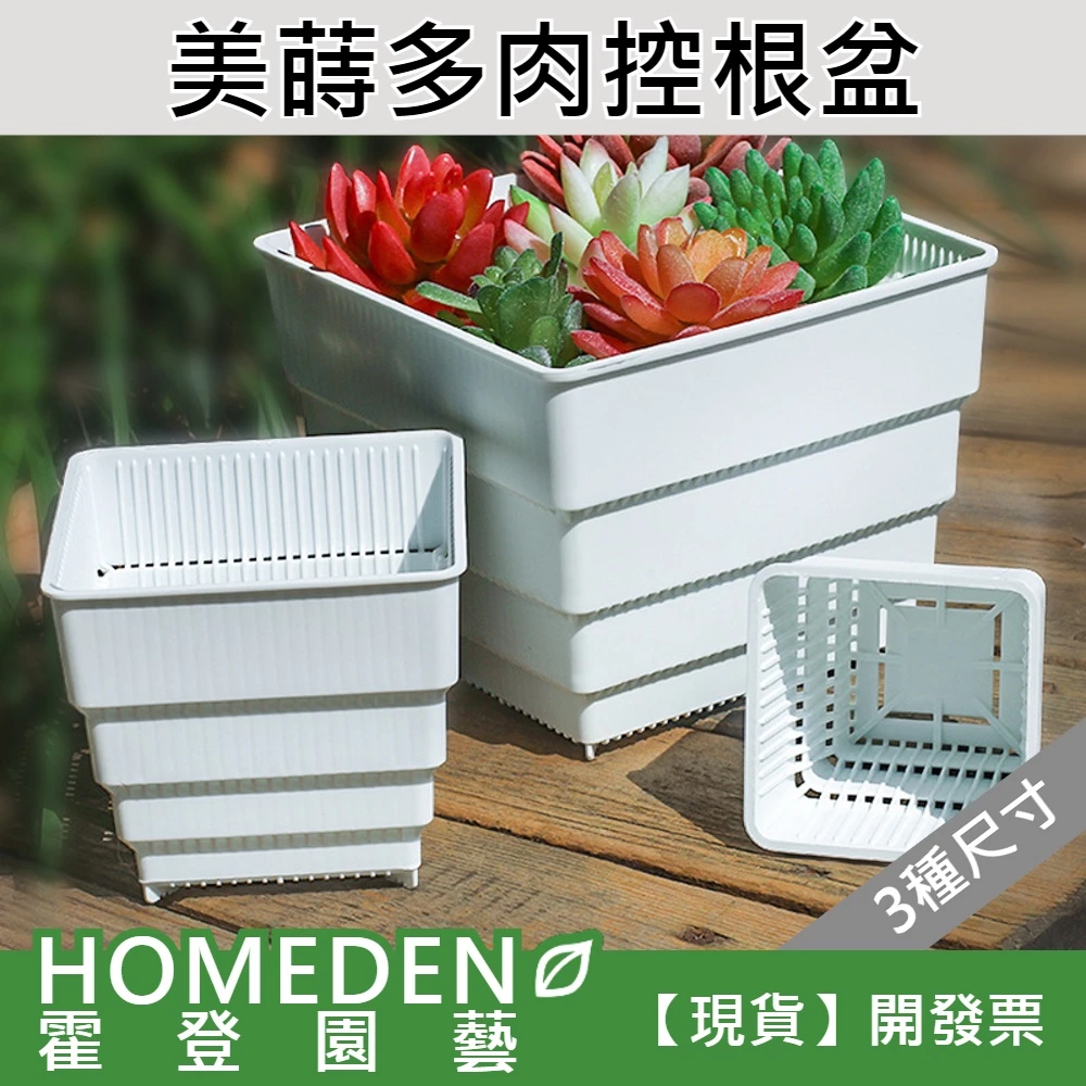 美蒔多肉控根盆 控根盆 多肉花盆 塑膠花盆 透氣花盆 【HOMEDEN霍登園藝】