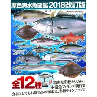 海水魚圖鑑- 優惠推薦- 2025年4月| 蝦皮購物台灣