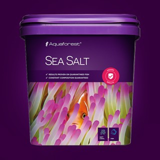 AF Sea Salt 珊瑚專用鹽 10KG/22KG 一筆訂單只能一桶 | 蝦皮購物