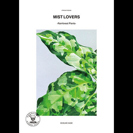 MIST LOVERS 熱帯植物 熱帯雨林植物 MIST LOVERS ―ジャングルの小型草本植物たち