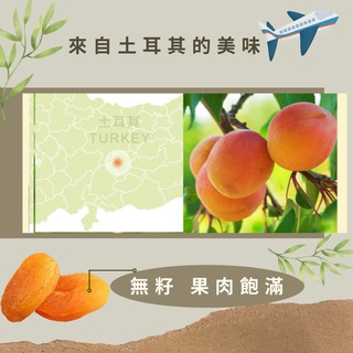 杏桃乾 土耳其杏桃乾 天然杏桃乾 無籽杏桃乾 黃金杏桃乾 果乾零食年節伴手禮 菓茶小鋪 | 蝦皮購物