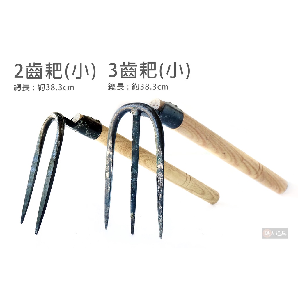 2齒耙 3齒耙 小 二齒扒 三齒扒 釘耙 鬆土 施肥 耙子 園藝工具 農業工具 | 蝦皮購物