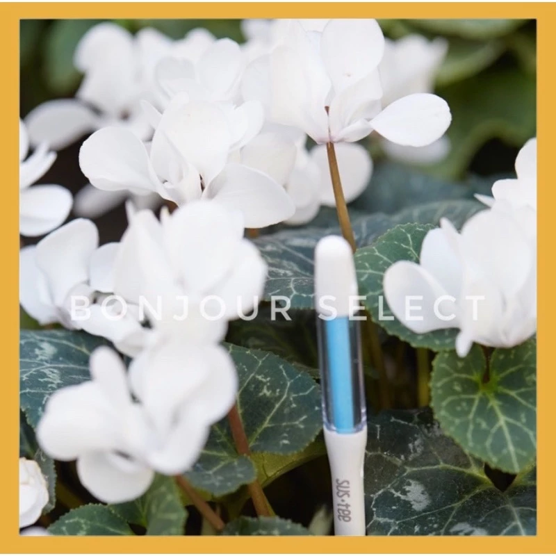7送1!Bonjour Select sustee 土壤濕度計 植物水分計 水份檢測計 象牙宮 象足漆樹