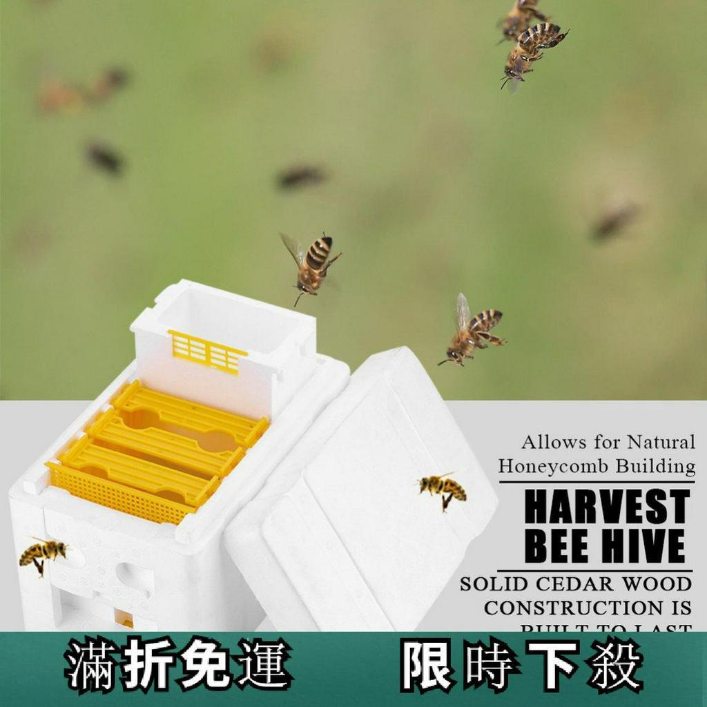 养蜂工具 泡沫蜂箱 蜜蜂交尾箱 蜜蜂育王箱 授粉箱套装 蜂具批发-阿里巴巴