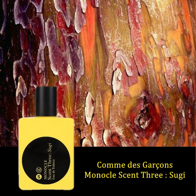 Comme des garcons sugi 2025
