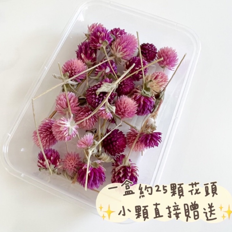 苔癬 - 優惠推薦 - 2026年7月 | 蝦皮購物台灣