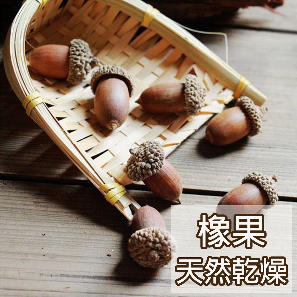 【台灣現貨】橡果 松鼠橡果 松果 松塔 果實 乾燥花材 乾燥花 乾燥花束 不凋花 保鮮花 人造花 裝飾 裝飾房間 裝飾品 | 蝦皮購物