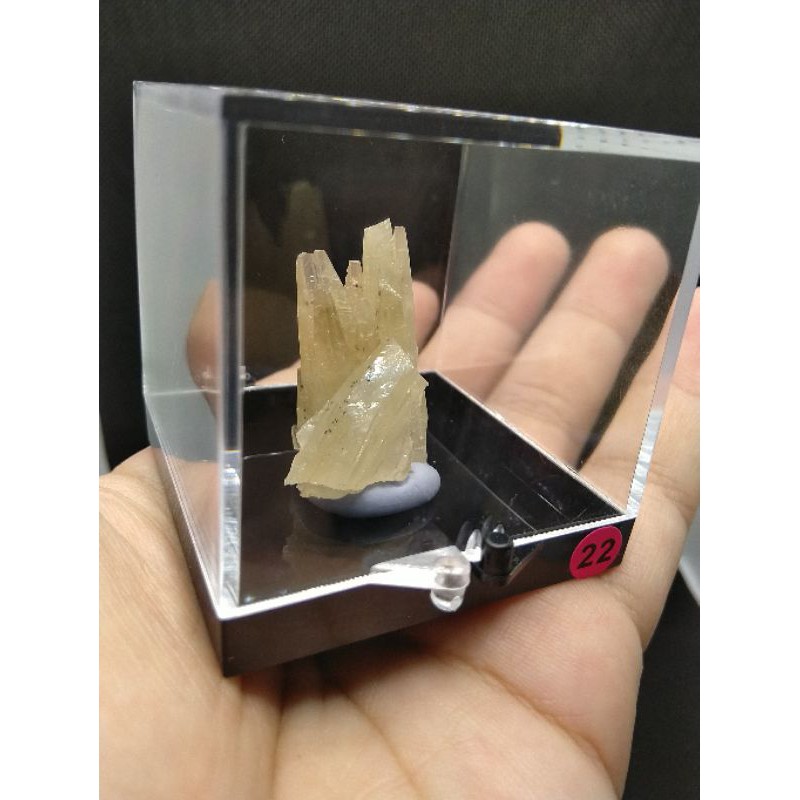霰石 Aragonite 文石 原礦 礦標 5.2公分礦標盒裝 少見品種 | 蝦皮購物