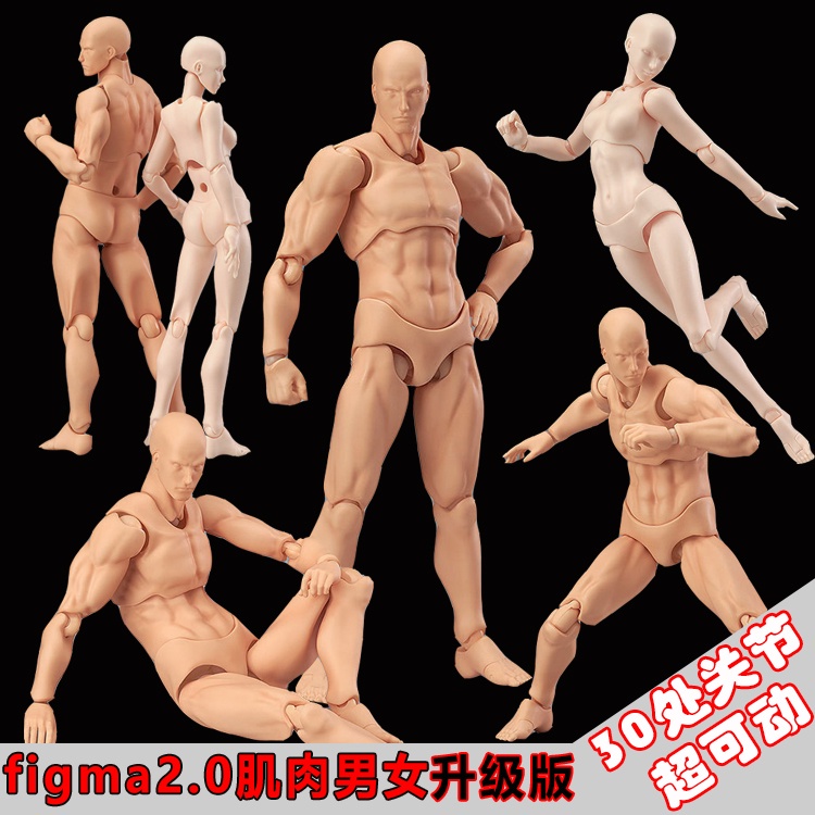 現貨熱銷款figma素體美術人體模型玩具日本人偶關節可動成人繪畫