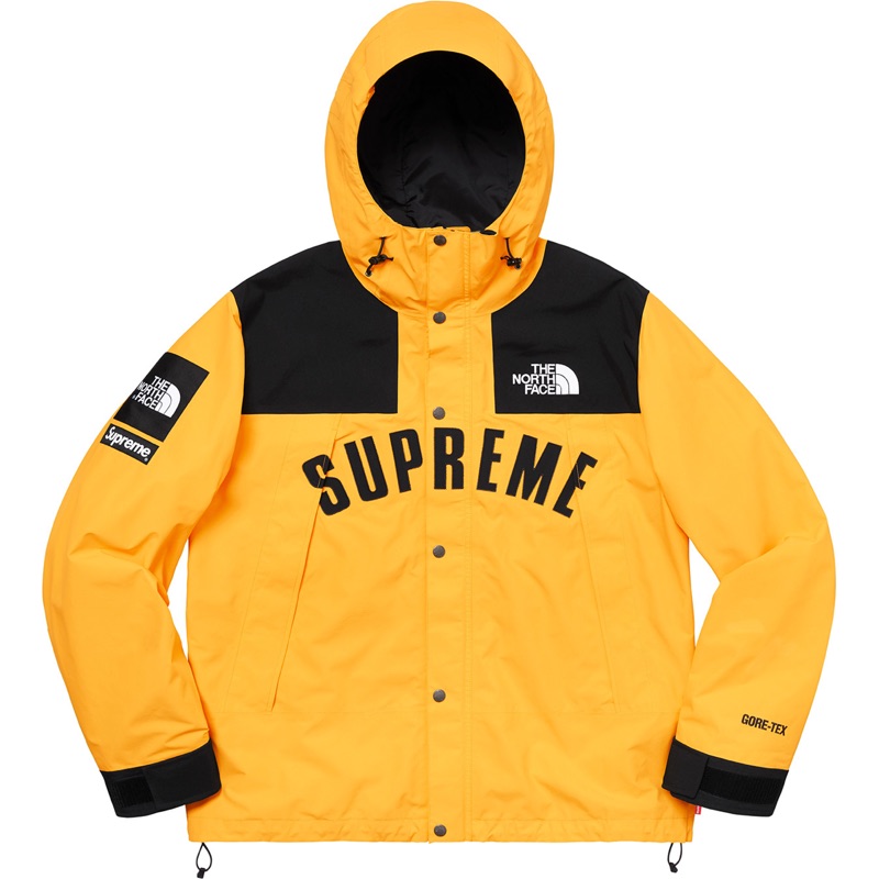 Supreme 2019 s/s The North Face Arc Logo Mountain Parka 黃衝鋒M