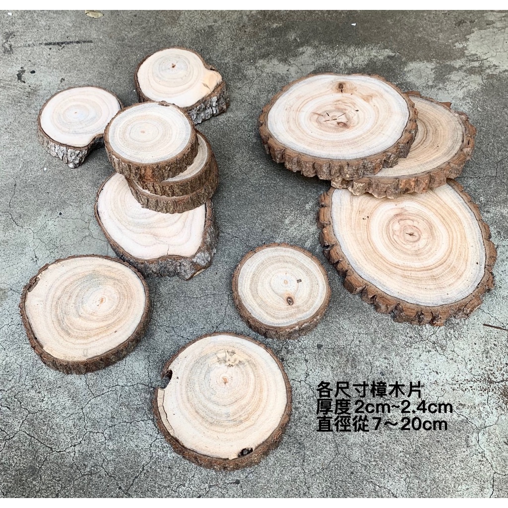 自然風 帶皮樟木 樟木片 原木隔熱墊 乾燥花設計 花禮 除濕除臭 防蚊驅蟲 | 蝦皮購物