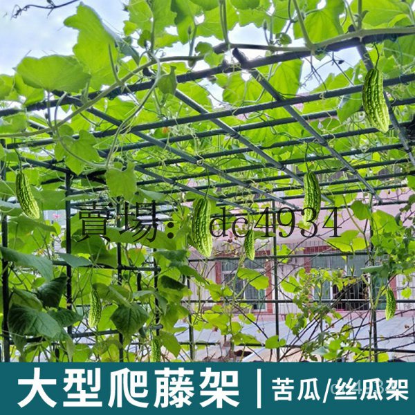 瓜架 網架 植物爬藤支架 花架 綠植花架子 苦瓜架 葡萄架子 葫蘆爬藤架 獼猴桃藤架 絲瓜百香果庭院戶外支架牽引 NTL | 蝦皮購物