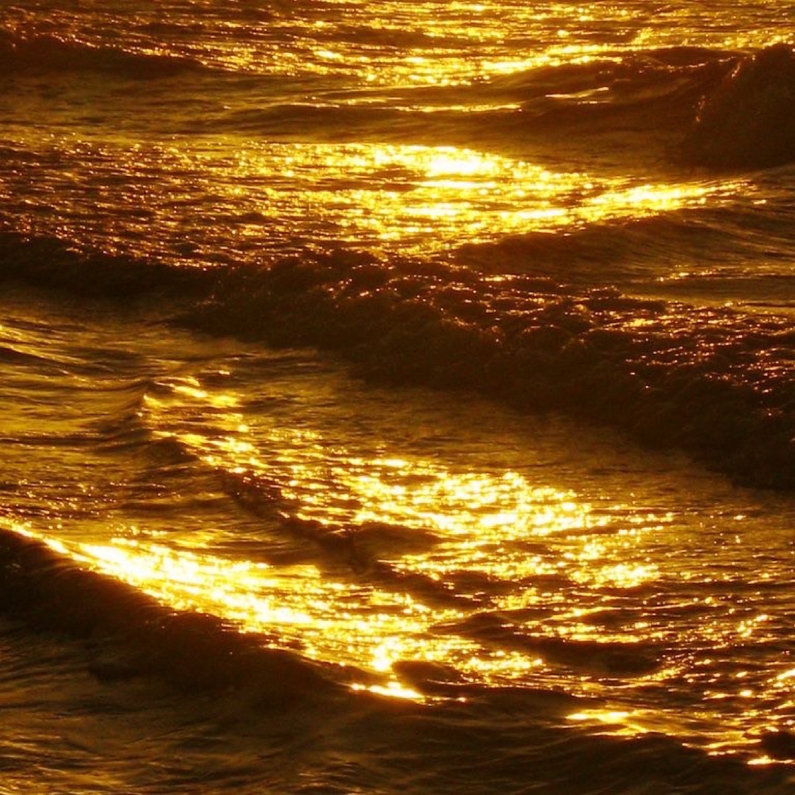 民國86年絕版50元硬幣| 蝦皮購物