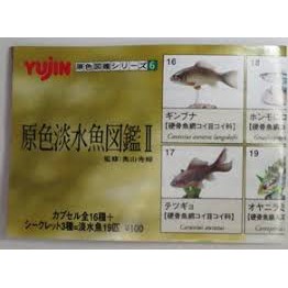 原色淡水魚圖鑑- 優惠推薦- 2025年4月| 蝦皮購物台灣