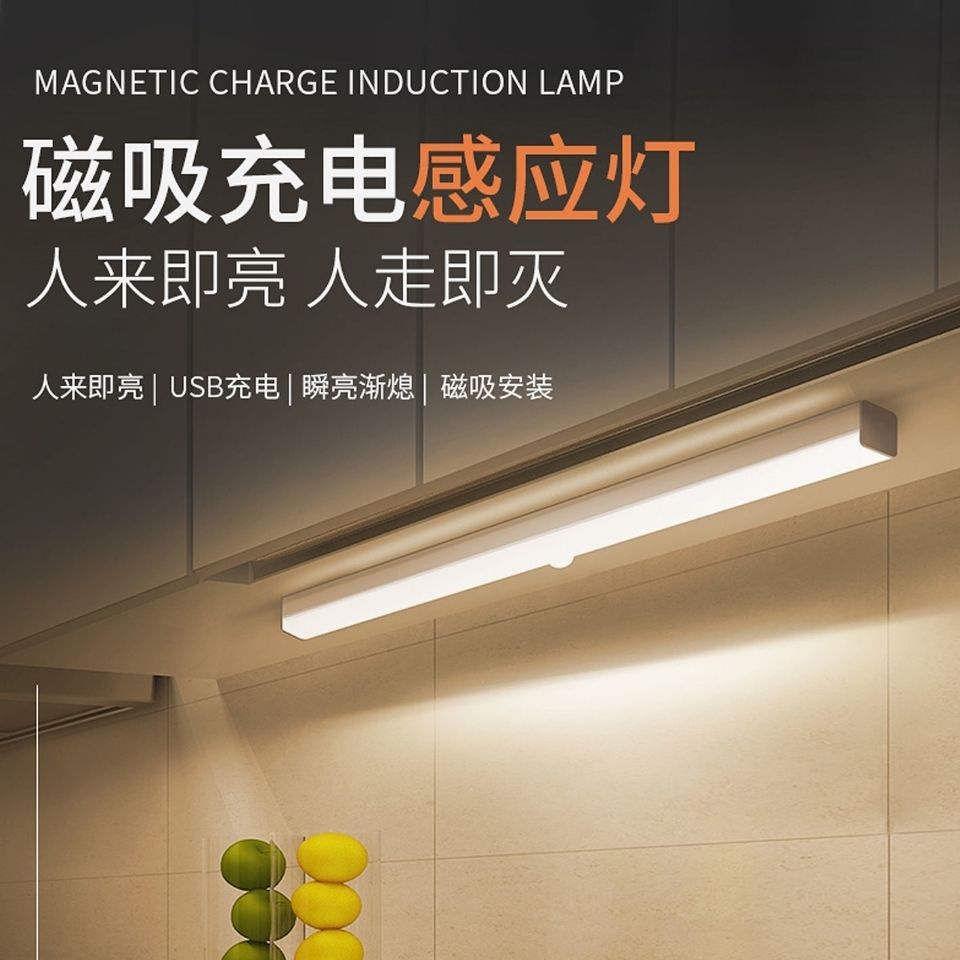 【工廠現貨秒發】LED 櫥櫃燈智能人體感應燈條 充電人體感應小夜燈 磁吸感應燈 紅外感應燈 衣櫃 鞋櫃 櫥櫃燈 露營燈 | 蝦皮購物