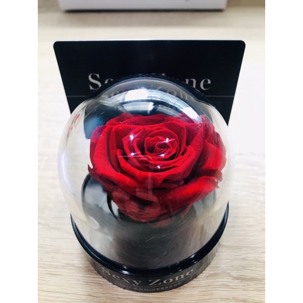 🌹賀SZ邁入Chapter Ⅱ🌹Sexy Zone 官方FC十周年 紀念品 玫瑰🌹薔薇🌹バラ永生花