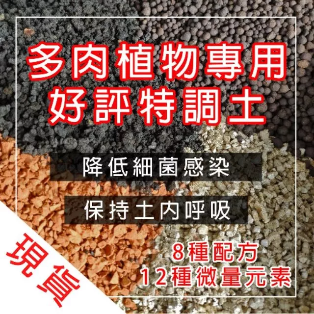 Find X 找肉專用 多肉植物顆粒土
