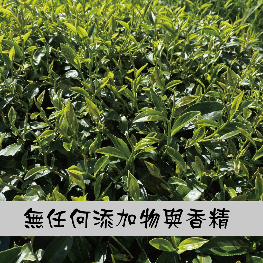 【茶包公主-阿里山茶包】阿里山 清香 台灣茶 原片 茶包公主 冷泡茶 茶包 送禮 高海拔 無添加 安心認證 特價 | 蝦皮購物