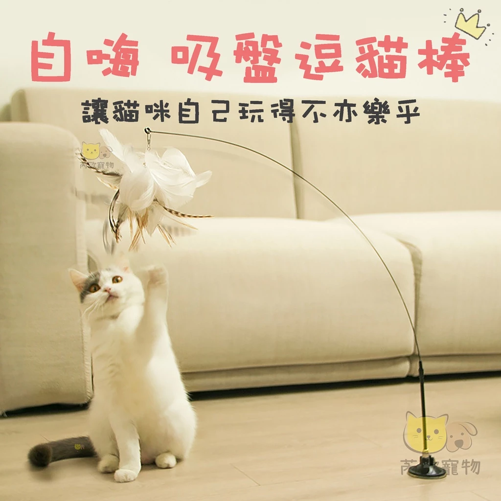貓咪自嗨逗貓棒 懶人逗貓棒 吸盤逗貓棒 自動逗貓棒 羽毛逗貓棒 逗貓桿 寵物玩具