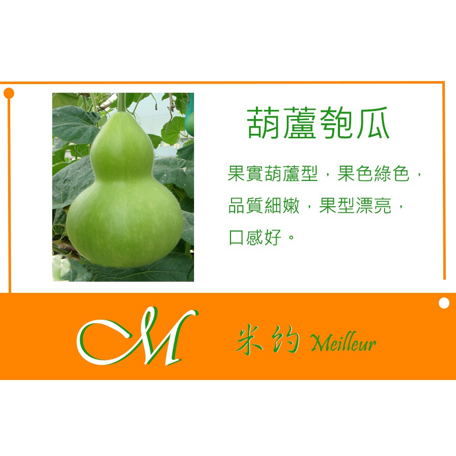 《Meilleur》葫蘆匏瓜種子 9粒 | 蝦皮購物