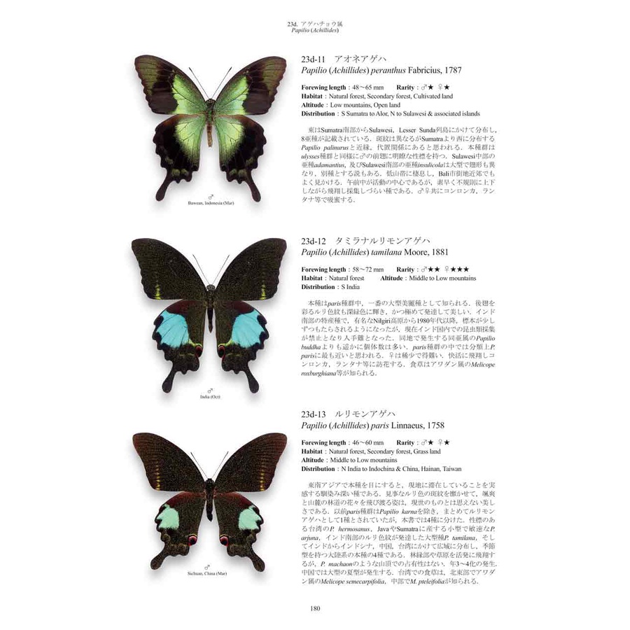 Papilionidae of the World世界のアゲハチョウ図説(精裝本)世界