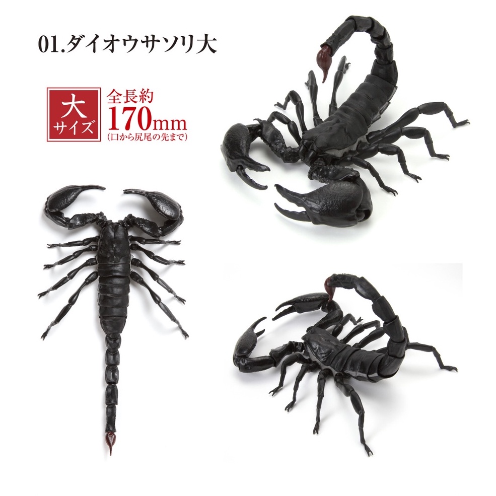 現貨』生物大圖鑑-蠍子篇扭蛋轉蛋【蛋樂寶】 | 蝦皮購物