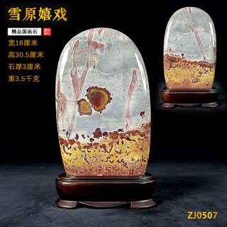 🔥新品🔥【精品國畫石】草花石原石觀賞石奇石圖案石客廳玄關裝飾中式