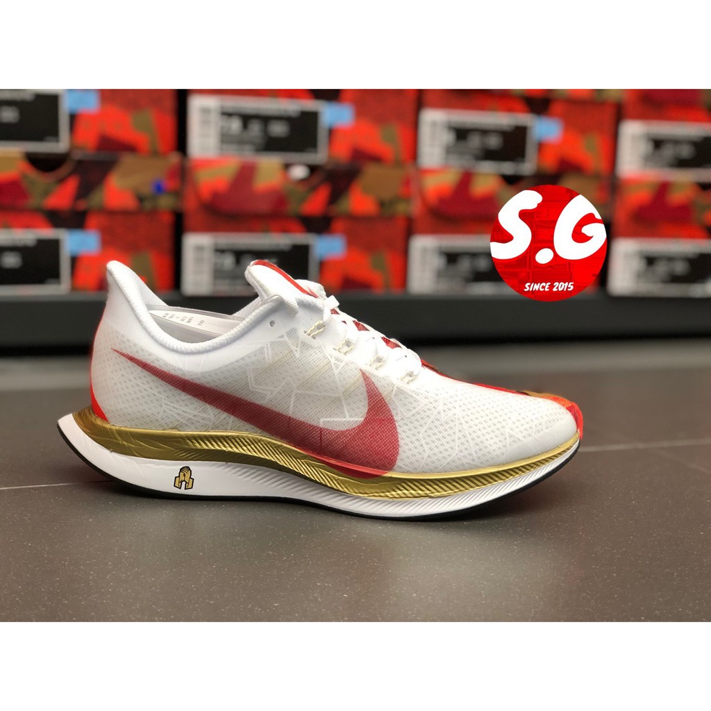 S.G Nike Zoom Pegasus Turbo CNY BV6657 176