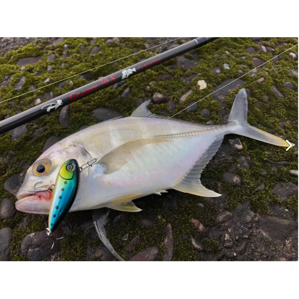 Extreme Salt Lure Rod Tulala Flightex Groovy 70S (Spinning 2