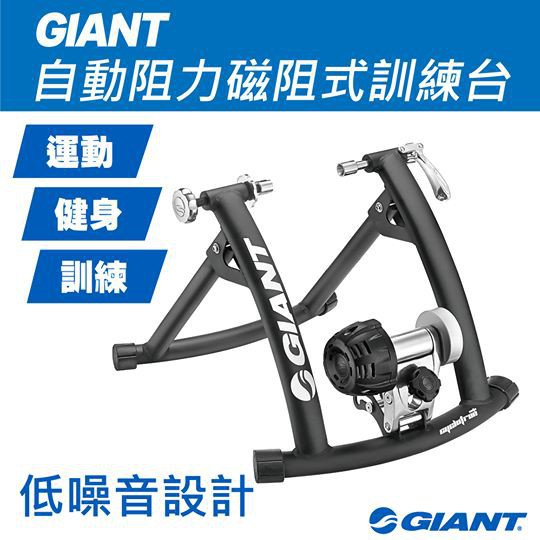 Home best sale trainer giant