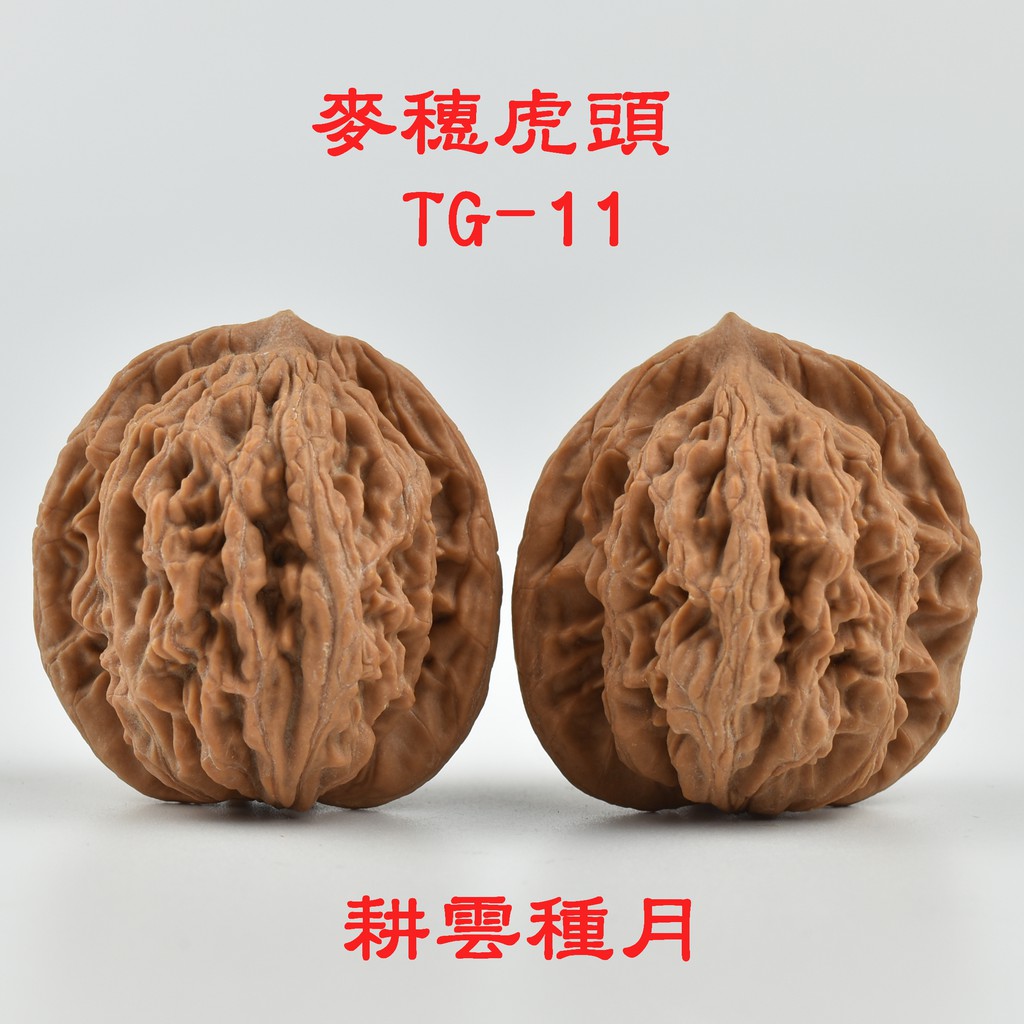 耕雲種月】麥穗虎頭文玩核桃TG-11-1000元/對(紋路清晰、上手易紅)尺寸邊肚高約mm:41.5/40/44.7 | 蝦皮購物