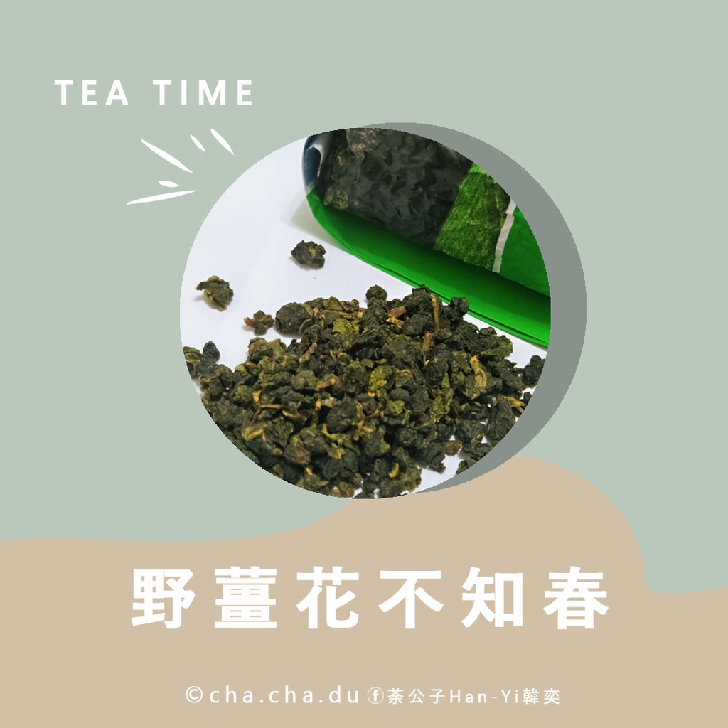 松柏嶺烏龍茶- 優惠推薦- 2024年4月| 蝦皮購物台灣