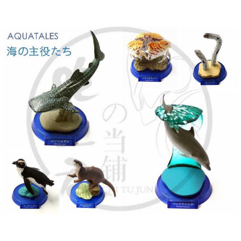 海洋堂絕版海的主役AQUATALES 水族館限定扭蛋鯨鯊水獺| 蝦皮購物