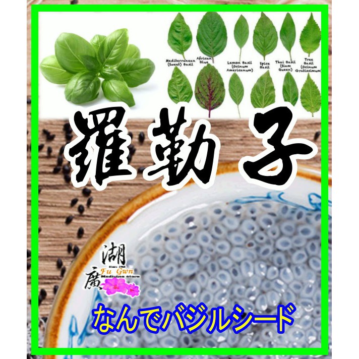 小紫蘇｜優惠推薦 - 蝦皮購物 - 2026年6月