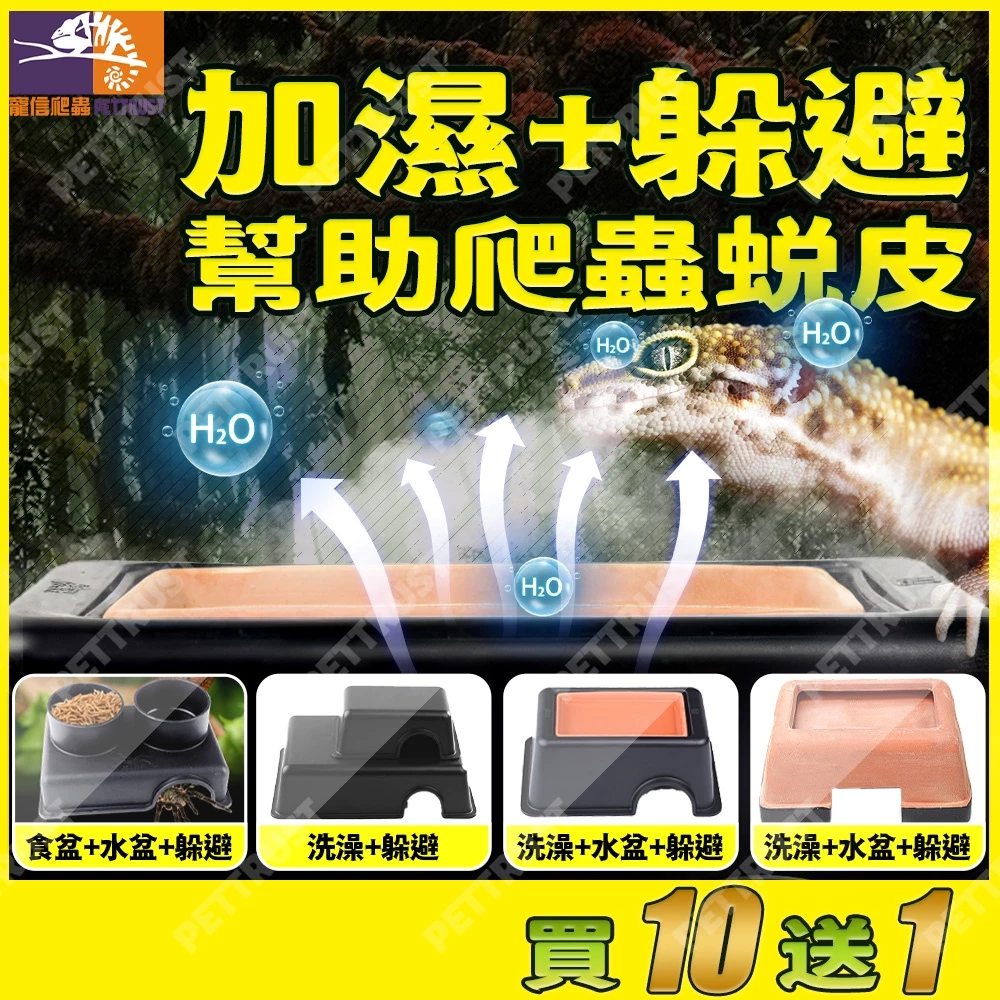 肥尾守宮飼養用的加濕躲避屋，脫皮期把濕水苔放進上面的凹槽