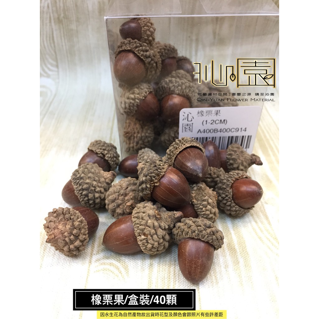 【沁園】橡栗果-盒裝(1~2cm) | 蝦皮購物