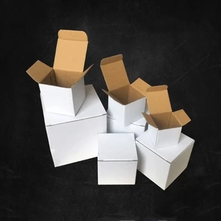 【現貨】10個 翻蓋包裝箱包裝紙盒白色小紙箱包裝紙箱單瓦楞白箱方扣底箱