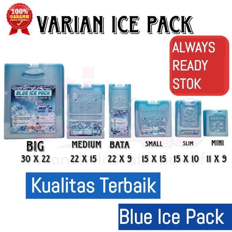 Mesin ICE PACK 替換乾冰凝膠藍色冰袋凝膠包高品質多功能母乳冷卻風扇空調房間冷卻機冰袋冷卻器盒優質冰凝膠包 | 蝦皮購物